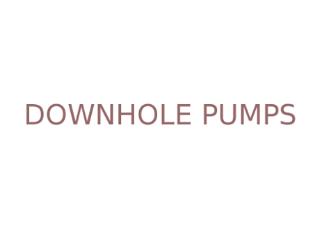 logo for Downhole Pumps